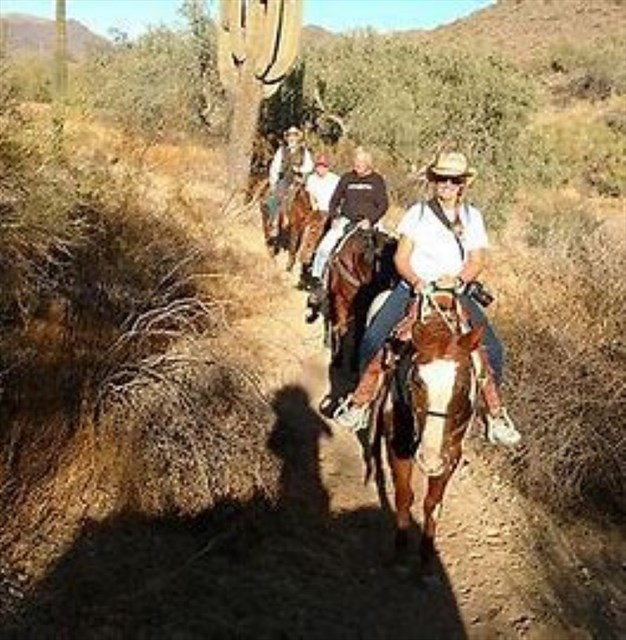 PERFECT Weather for Horseback Riding!!!